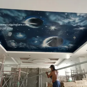 Vẽ Tranh Tường Trần Nhà Nghệ Thuật Tại TPHCM